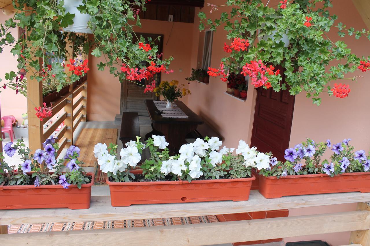 Casa Andreia Villa กูรา ฮูมอรูลุย ภายนอก รูปภาพ